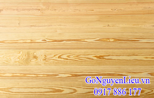 gỗ thông vàng (pine yellow) nhập khẩu gỗ thông vàng (pine yellow) nhập khẩu