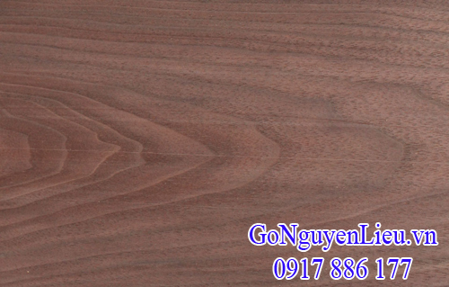gỗ walnut (gỗ óc chó) nhập khẩu gỗ walnut (gỗ óc chó) nhập khẩu