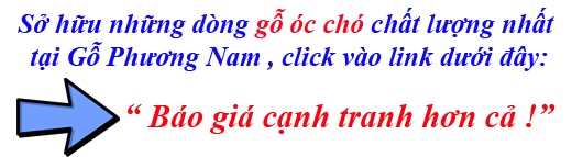 mua gỗ óc chó giá cạnh tranh ở đâu mua gỗ óc chó giá cạnh tranh ở đâu
