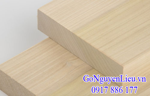 thanh gỗ dương (poplar) thanh gỗ dương (poplar)