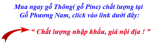 sở hữu ngay bảng báo giá gỗ thông (pine) nhập khẩu mới sở hữu ngay bảng báo giá gỗ thông (pine) nhập khẩu mới