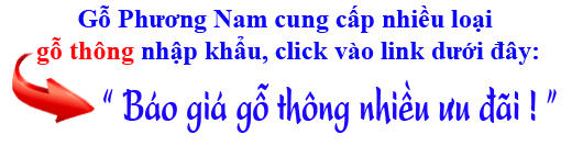 tham khảo giá bán gỗ thông (pine) hiện nay tham khảo giá bán gỗ thông (pine) hiện nay