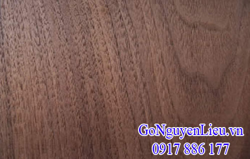 vân gỗ óc chó (walnut) vân gỗ óc chó (walnut)