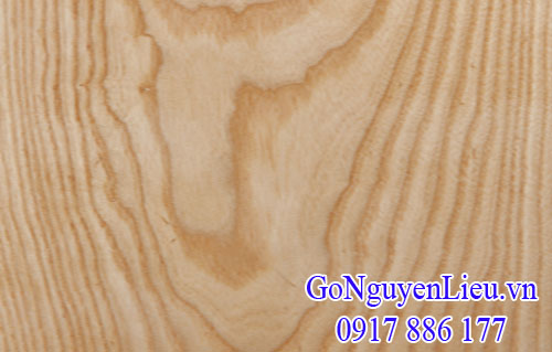 vân gỗ tần bì (ash) nhập khẩu vân gỗ tần bì (ash) nhập khẩu