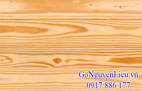 vân gỗ thông cho bạn sự quyến rủ vân gỗ thông cho bạn sự quyến rủ