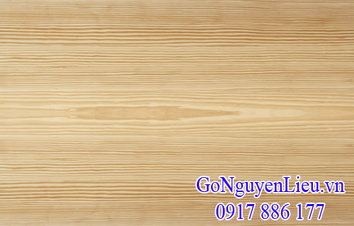 vân gỗ thông (pine) nguyên liệu vân gỗ thông (pine) nguyên liệu