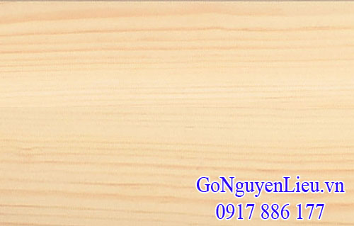 vân gỗ thông trắng  vân gỗ thông trắng