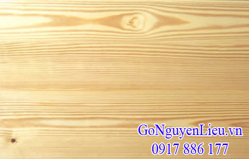 vân gỗ thông vàng (gỗ yellow pine) vân gỗ thông vàng (gỗ yellow pine)